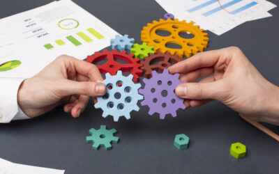 From Chaos to Clarity: How Operational Excellence Fuels Startup Growth